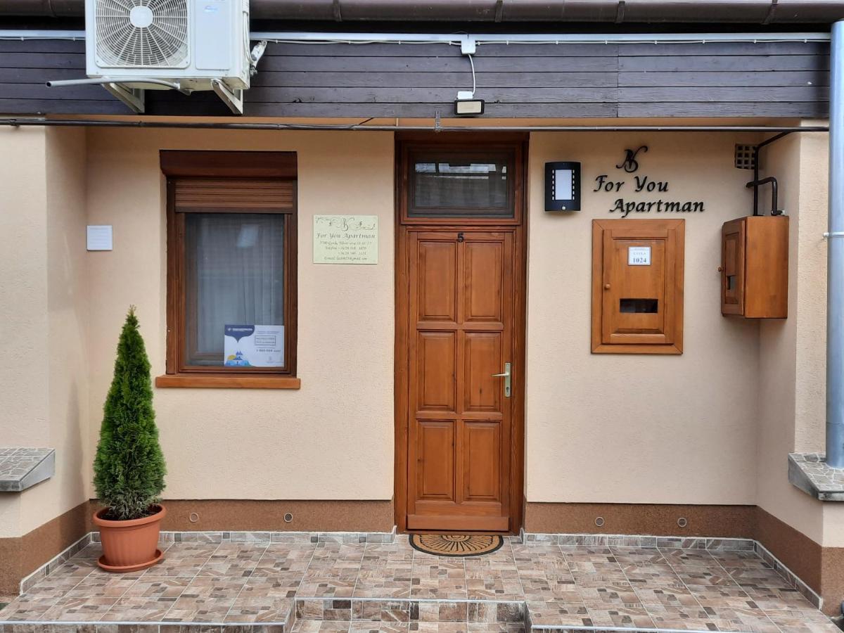 For You Apartman Дьюла Екстер'єр фото