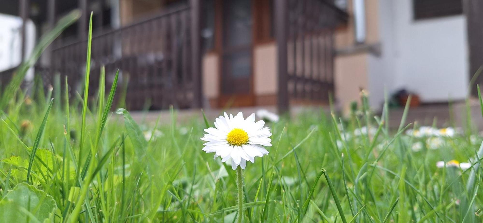 For You Apartman Дьюла Екстер'єр фото